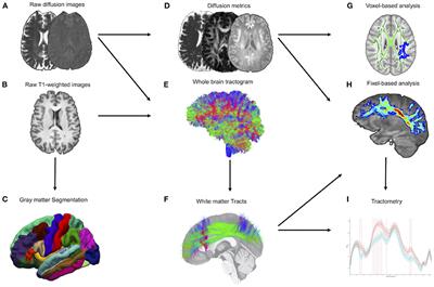 Brain microstructural changes and fatigue after COVID-19